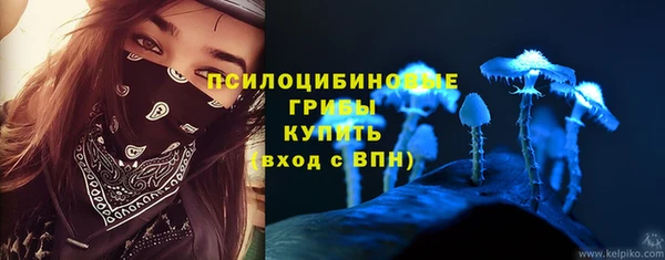 ПСИЛОЦИБИНОВЫЕ ГРИБЫ Беломорск