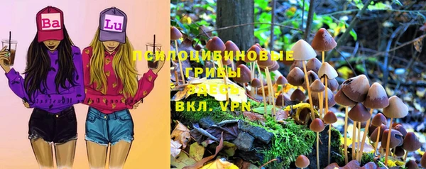 ПСИЛОЦИБИНОВЫЕ ГРИБЫ Беломорск